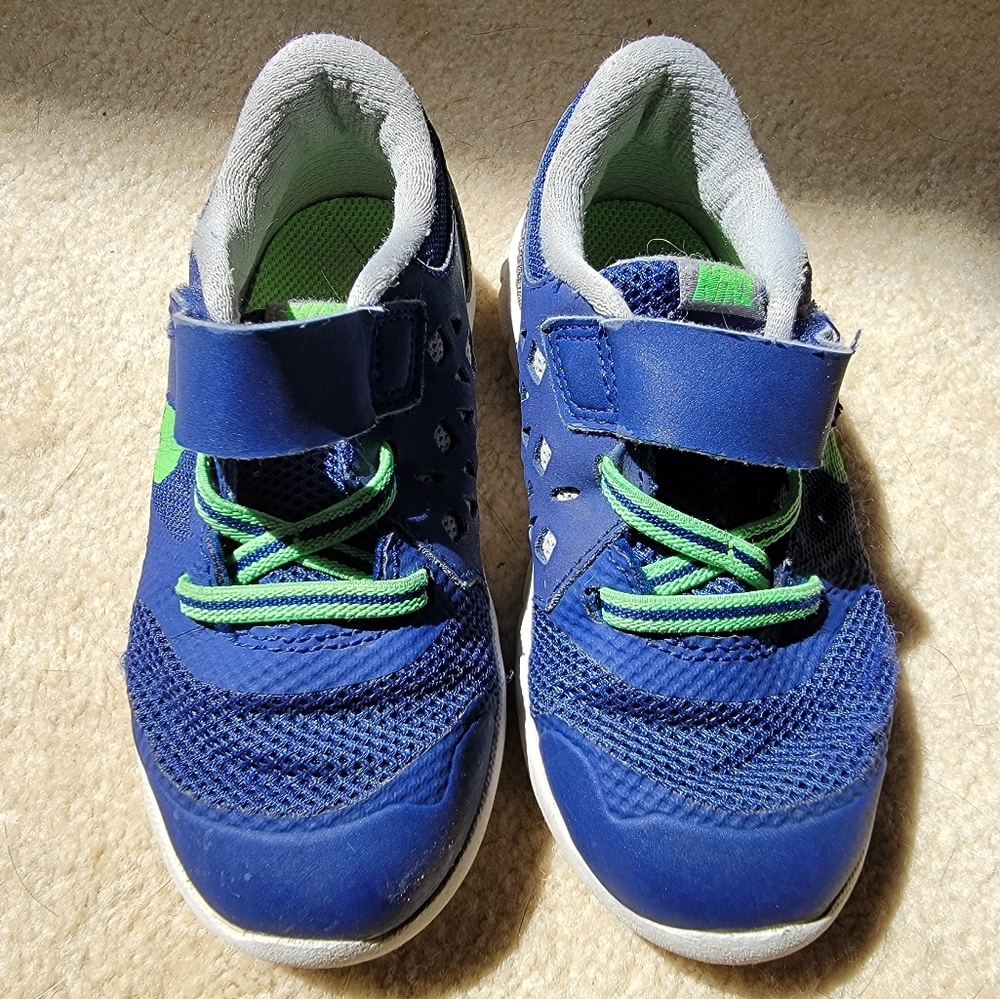 Nike Flex 2015 Run Shoes